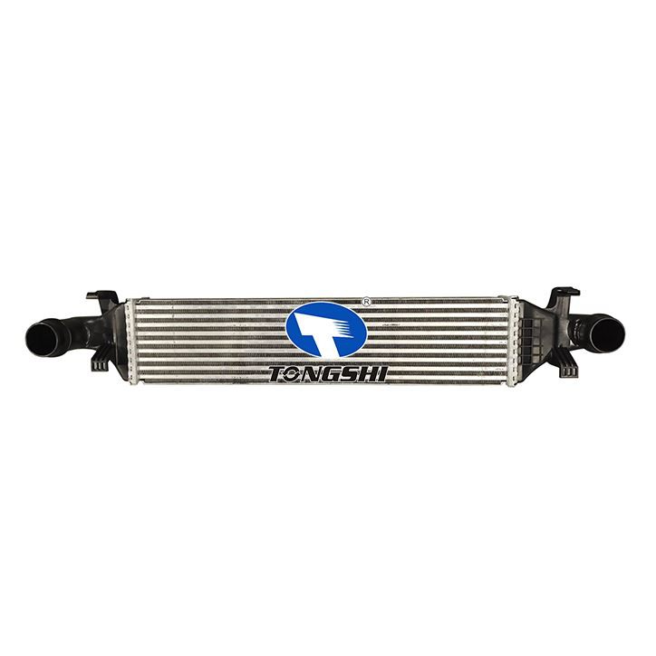 OEM A2465000100 Intercooler BENZ CLA W117